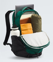 The North Face Borealis Backpack - Evergreen/TNF Black